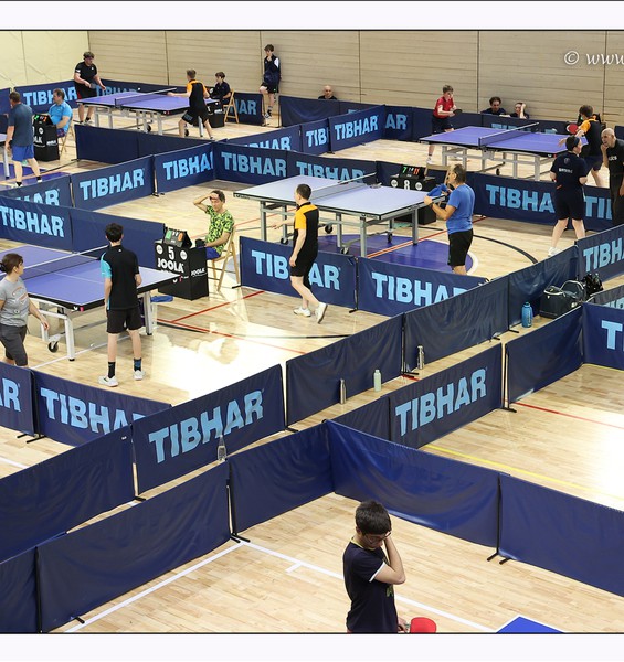 Torneo Over 9-10/05/26 - 24