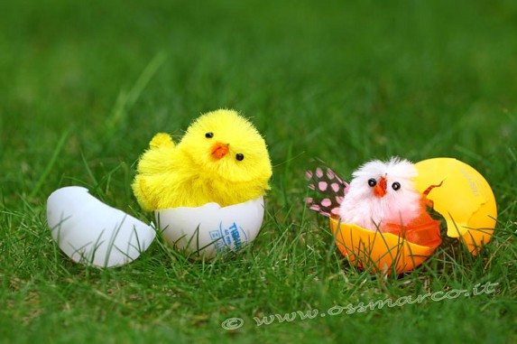 Pasqua 2015