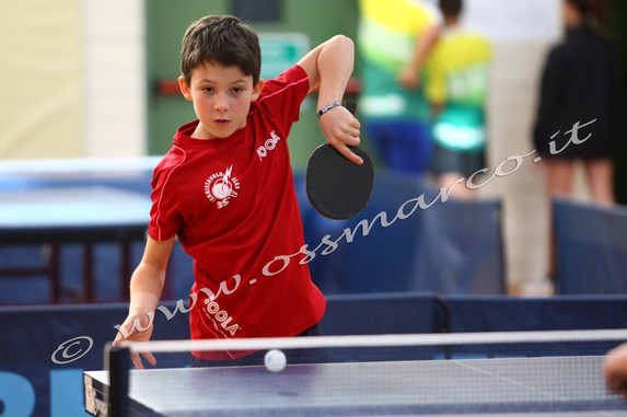 Thomas Franzoi - 2019