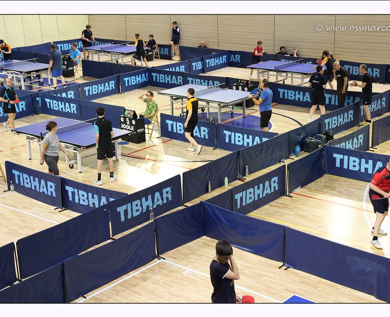 Torneo Over 9-10/05/26 - 24